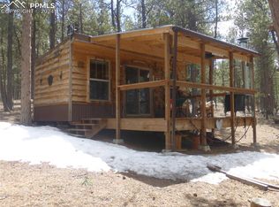 163 Ouray Rd, Florissant, CO 80816