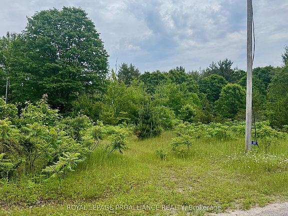 5th image of 207 Middle Ridge Rd