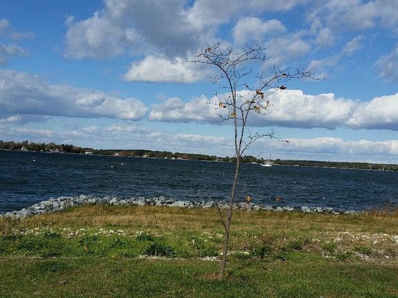 Water Views Of The Tred Avon River At The End Of N. Morris St.
