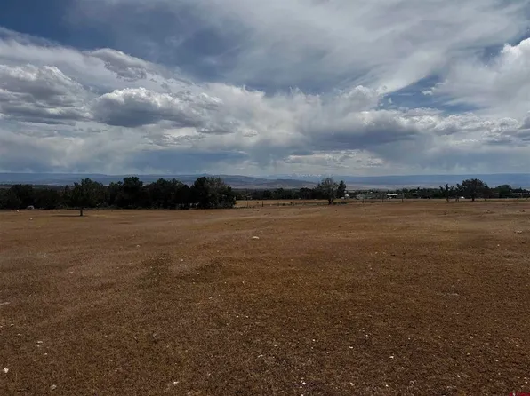 TBD 2550 Road, Cedaredge, CO 81413