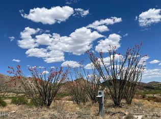 Cougar Pass #113/115, Tubac, AZ 85646