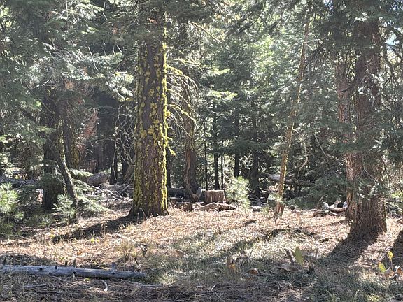 2nd image of Truckee Dr
