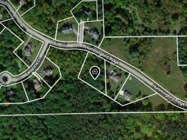 12919 Hummingbird Rdg, Davisburg, MI 48350