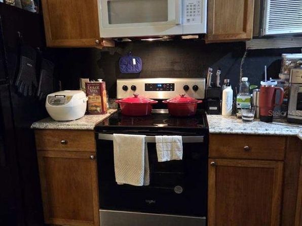 tampa-florida-45036666 picture