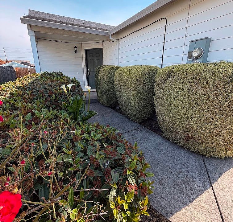 Front walkway with mature landscaping and blooming flowers.