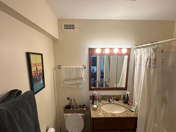 4th image of 1360 N Sandburg Ter APT 509C