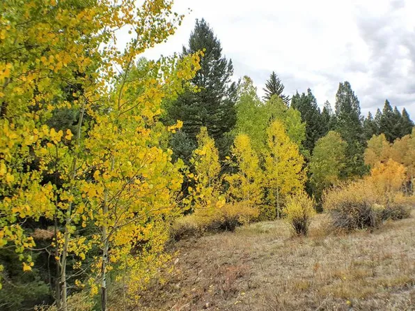 TBD Forest Service Road 644 Seitz Creek, Del Norte, CO 81132