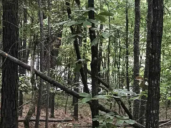 Aurora Cir #18, Alpine, AL 35014