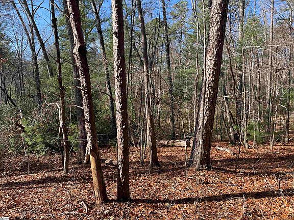 2nd image of 204 Jocassee Glen Dr