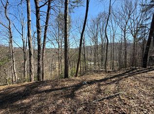 1035 Sky Hawk Mountain Rd, Hiawassee, GA 30546