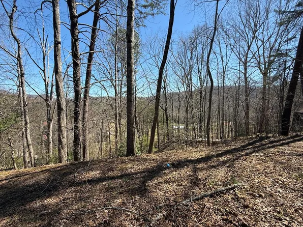 1035 Sky Hawk Mountain Rd, Hiawassee, GA 30546