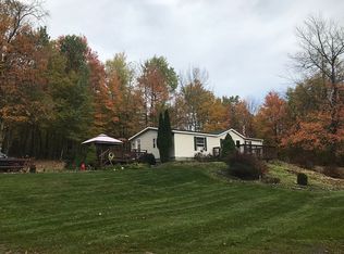 92 Thyme Hill Rd, Fleischmanns, NY 12430