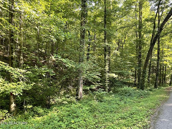 5th image of 0 Turkey Creek Rd