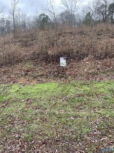 0 Lookout Mountain Dr Lot 162, Scottsboro, AL, 35769