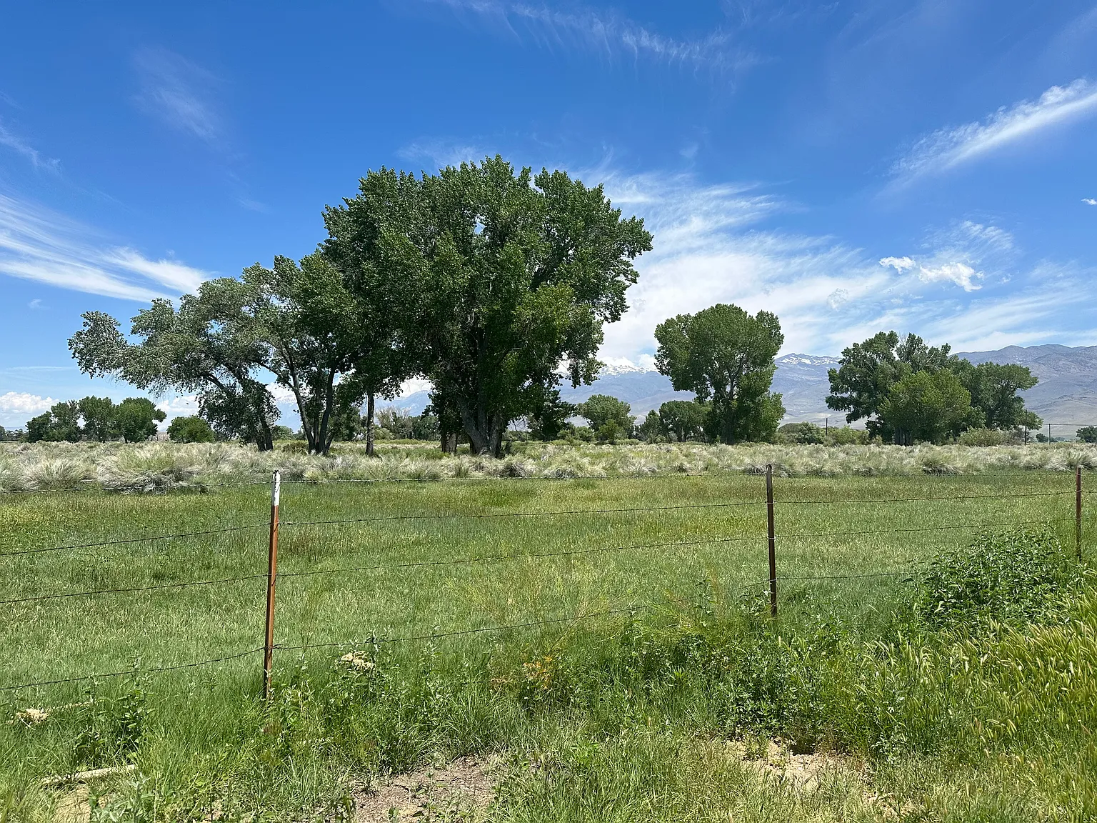 Studio, 400 sqft, $700 — Photo 4
