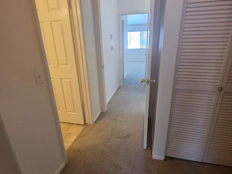 29602 Cara Way — Photo 23