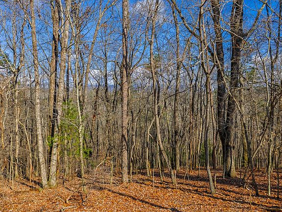 4th image of 55 Timberwalk