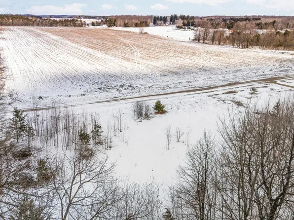 PARCEL Kuhn Dr #B, Buckley, MI 49620