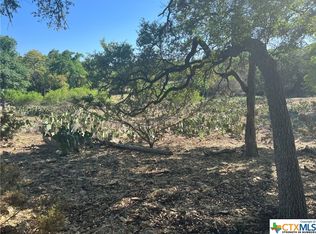 439 Hidden Springs Dr, Spring Branch, TX 78070