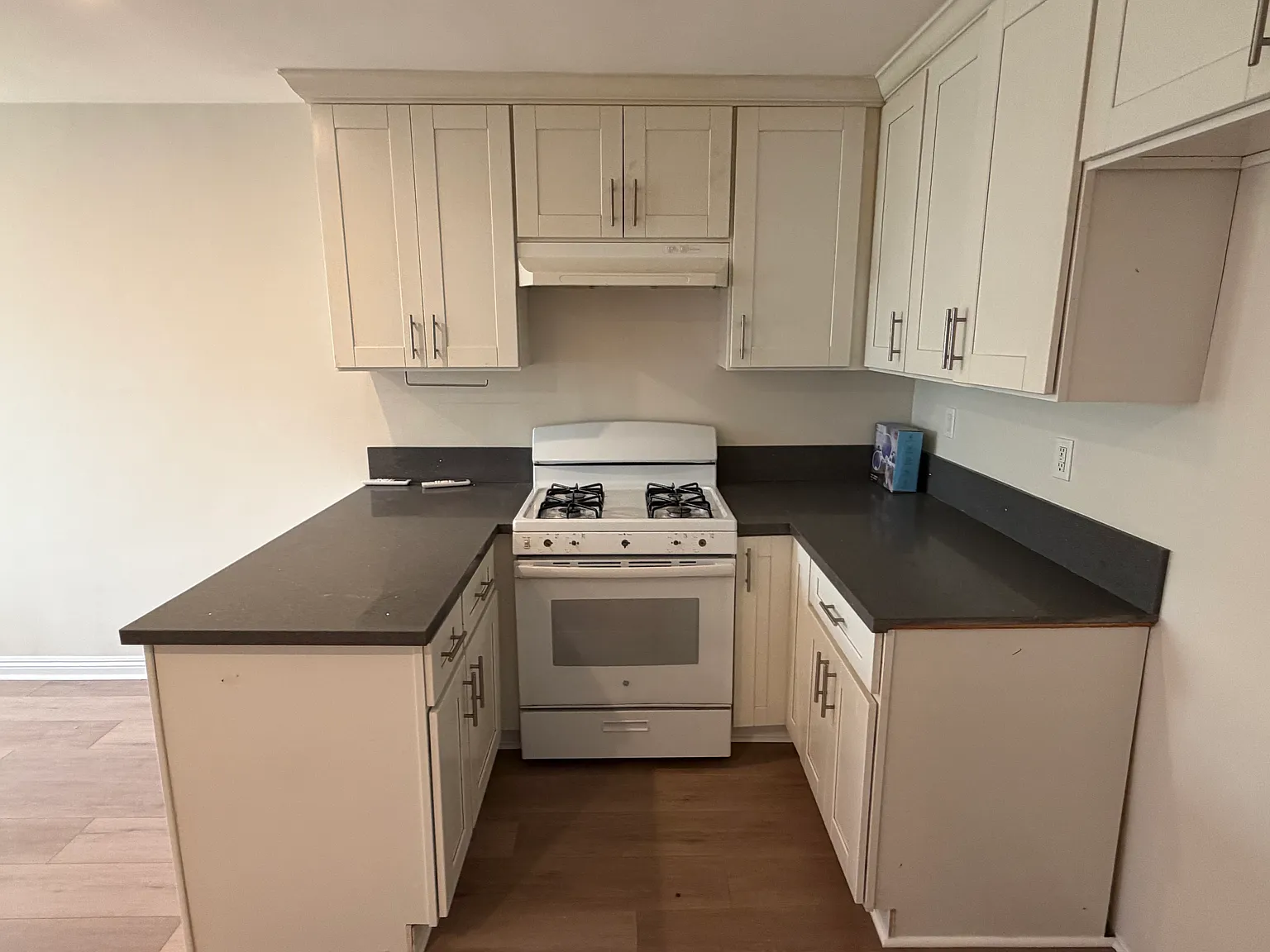 1 bed, 526 sqft, $2,100 — Photo 4