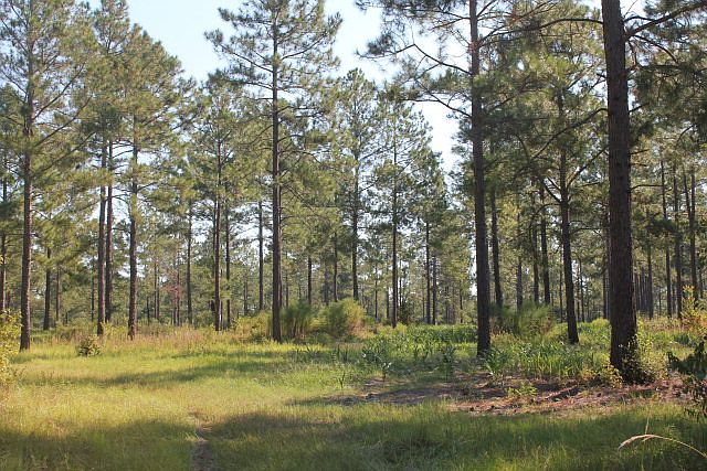 2nd image of 0 County Line Rd