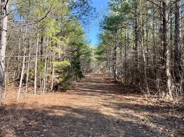 0 Forrest Hill Rd Lot 8, Bolivar, TN 38008