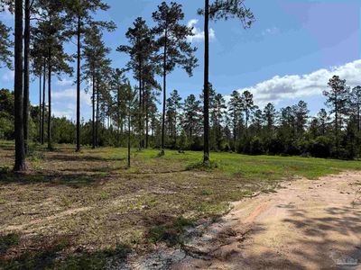 8450 Robinsonville Rd, Atmore, AL, 36502