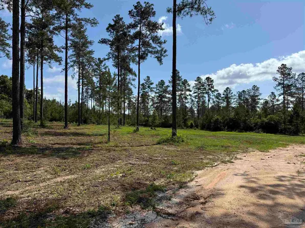 8450 Robinsonville Rd, Atmore, AL 36502