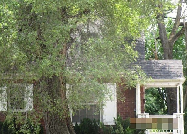 2nd image of 10421 Curtis St