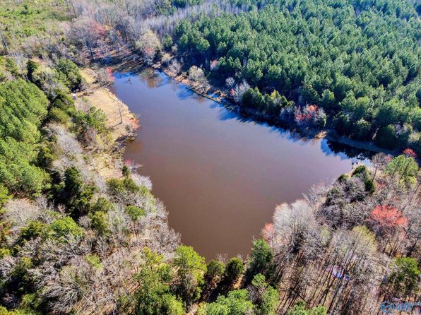 10354 Highway 101, Town Creek, AL 35672