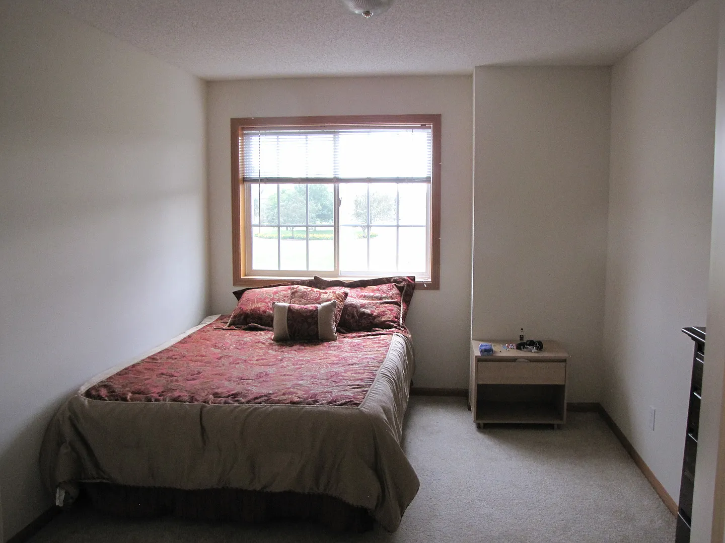 Very spacious *3Bed*2.5Bath Town Home in Cottage Grove Avail Nov 1st — Photo 4