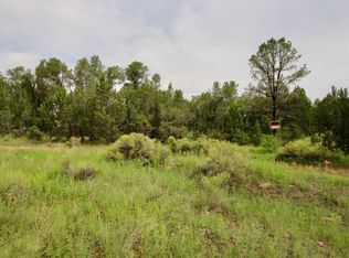 3327 Oxbow Ben, Overgaard, AZ 85933