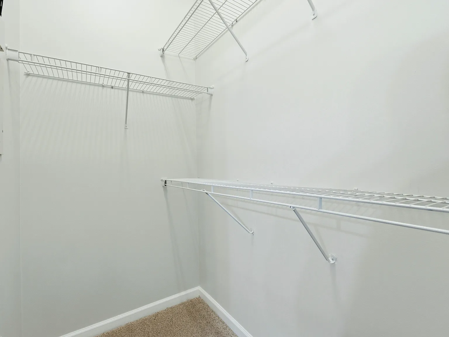 2 bed, 1153 sqft, $2,200 — Photo 3