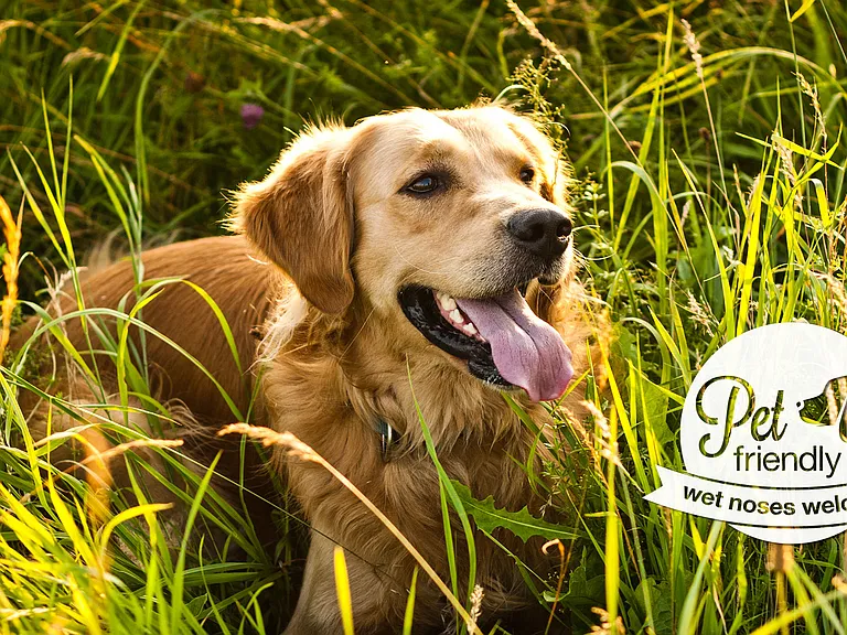 Our community is pet friendly