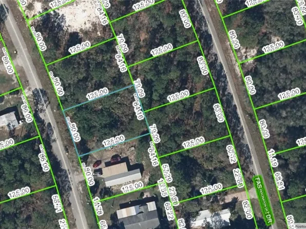 121 Sunflower Dr, Lake Placid, FL 33852