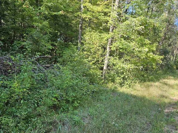 N1847 Hawks Nest Rd, Keshena, WI 54135