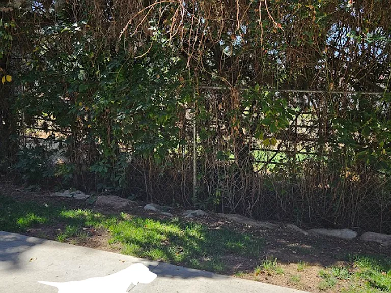10817 W Franklin Rd — Photo 36