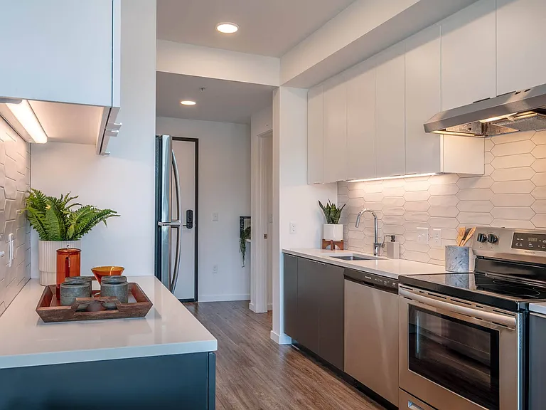 Stainless Steel Appliances