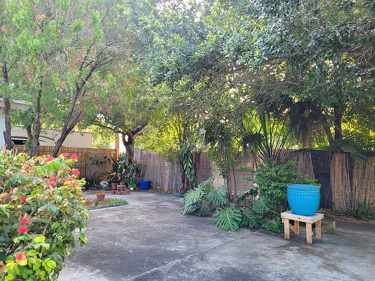 Back yard