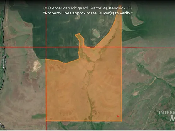 0 American Ridge Rd Parcel 4, Kendrick, ID 83537