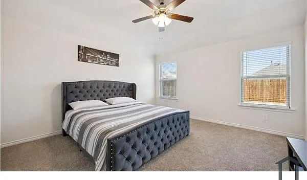 9729 Gooseneck Trl — Photo 13