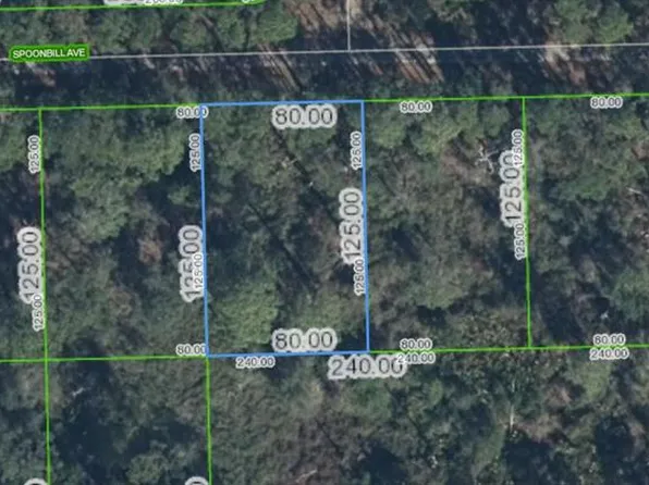 3224 Spoonbill Ave Lot 7, Lake Placid, FL 33852