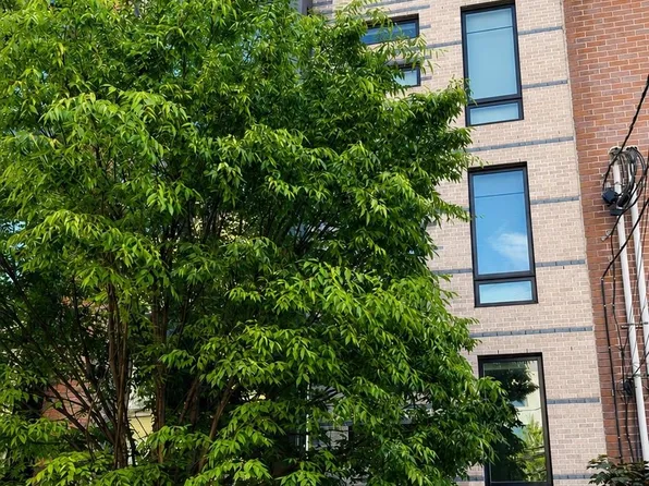411 Monroe Street image 1 of 20