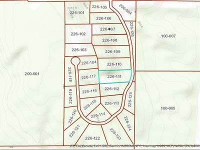 5184 Burt Lake Views Dr, Alanson, MI, 49706