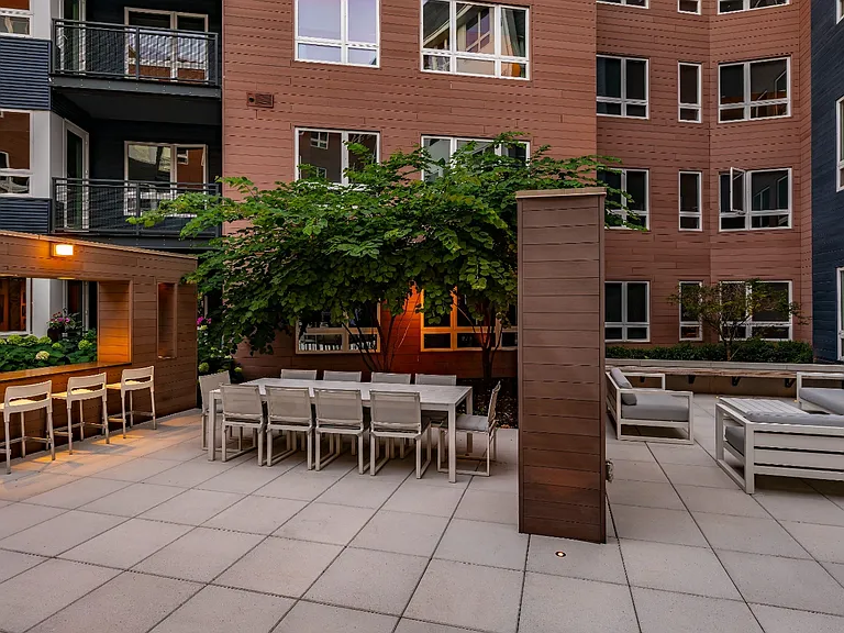Haden — Photo 28