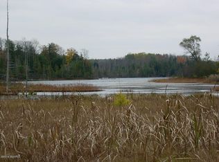 5592 N Pinewood Dr, Irons, MI 49644