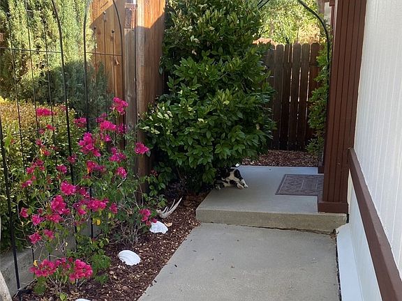 5th image of 2642 Bridle Trail Ln