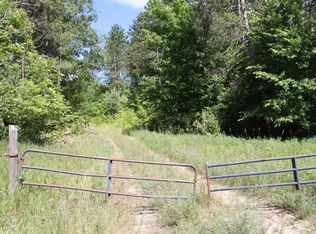 16300 Viaduct Rd #79-ACRES, Copemish, MI 49625