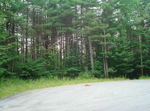 2nd image of Lot #9 Mcallister Drive