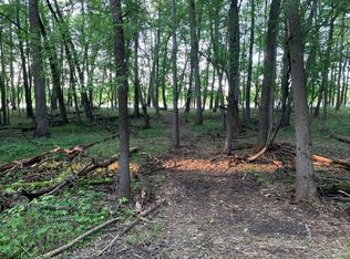 Town Rd #140, Baudette, MN 56623